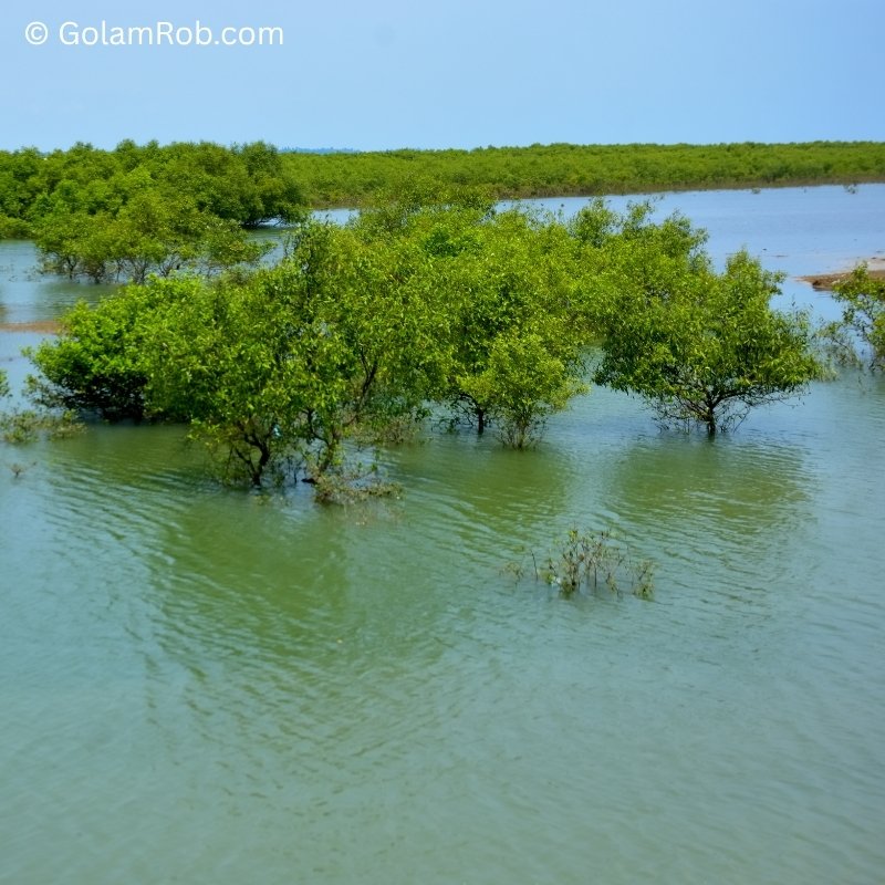 Bakkhali River Tidal Cycle Pairs
